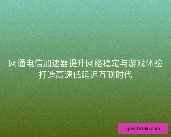 网通电信加速器提升网络稳定与游戏体验打造高速低延迟互联时代
