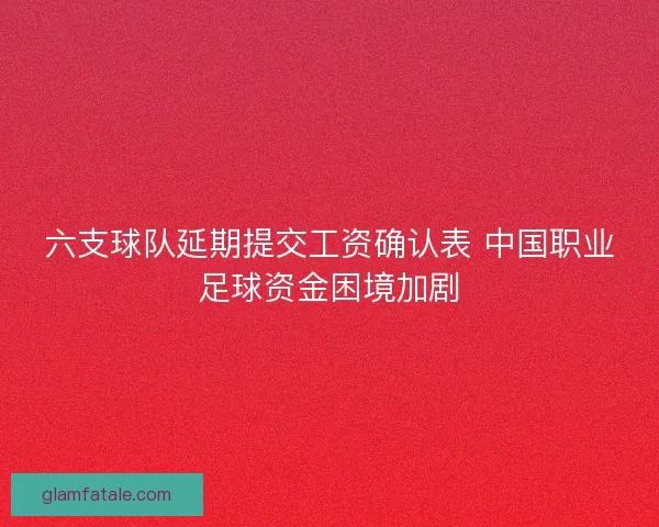 六支球队延期提交工资确认表 中国职业足球资金困境加剧 六支球队延期提交工资确认表 中国职业足球资金困境加剧